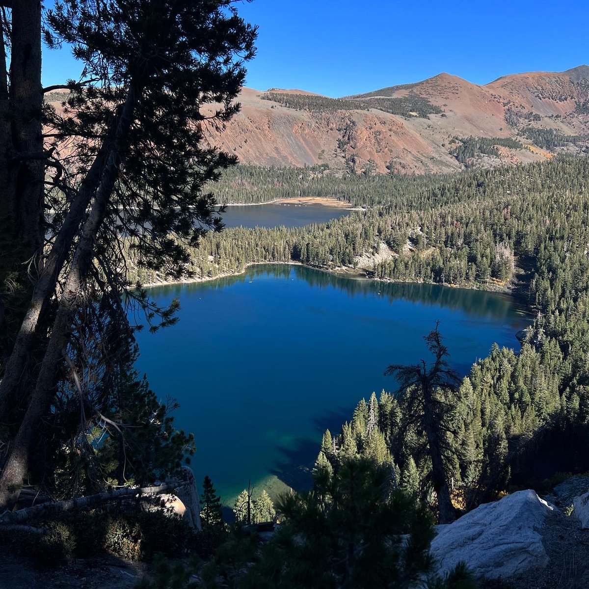 e_ileeeen's tweet photo. Mammoth Lakes 🦣 https://t.co/hnhQhLI4ke