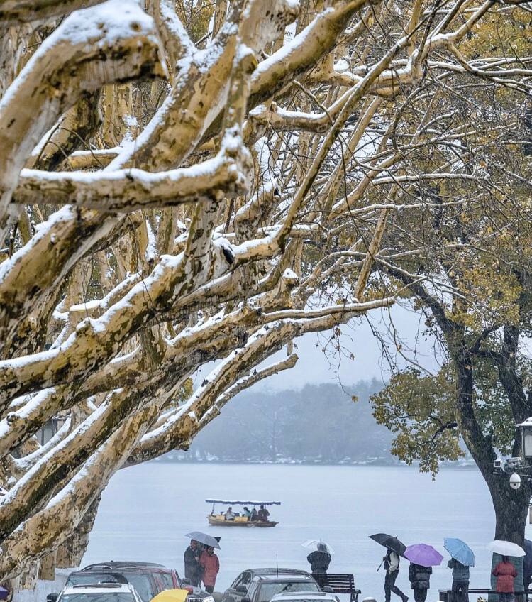 grapes5463's tweet photo. One year time, finally gather together the spring, summer, autumn and winter, shrink into this short few seconds, like our short and busy life. https://t.co/t9JjPyH2mJ