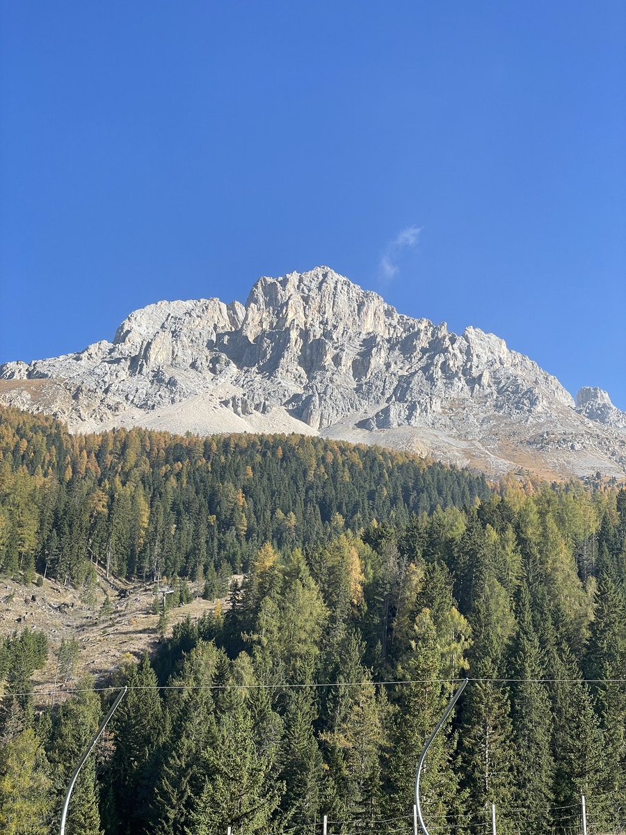 RoccoPace2's tweet photo. Today a regenerating #mountain hike among yellow #larch trees and a beautiful blue #sky 🍂 🏔️ @ Latemar, #Südtirol https://t.co/zPQAMTVIh2