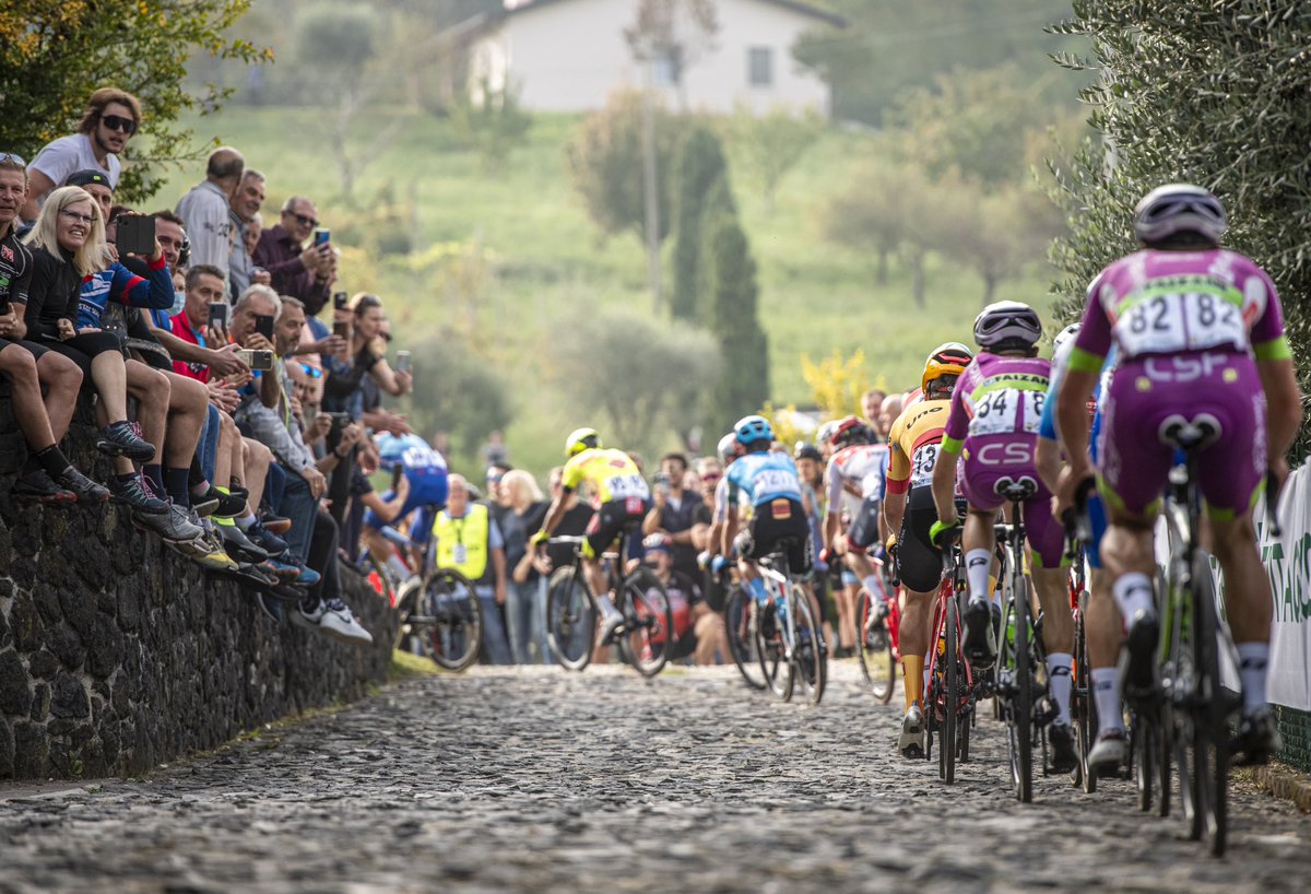 VENETO Classic tweet media