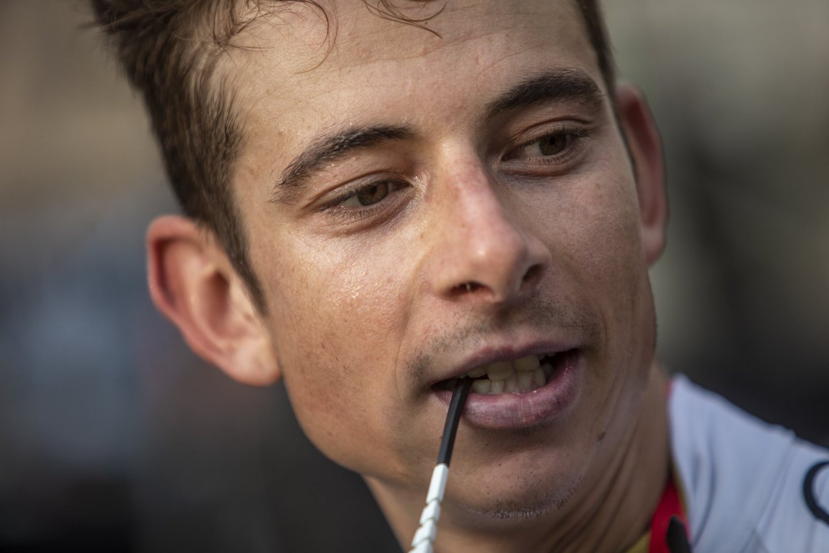 VENETO Classic tweet media