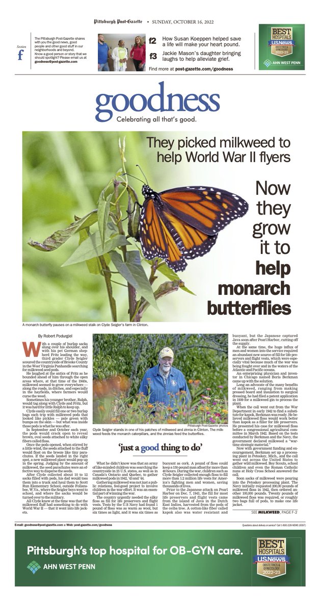 goodness tweet media