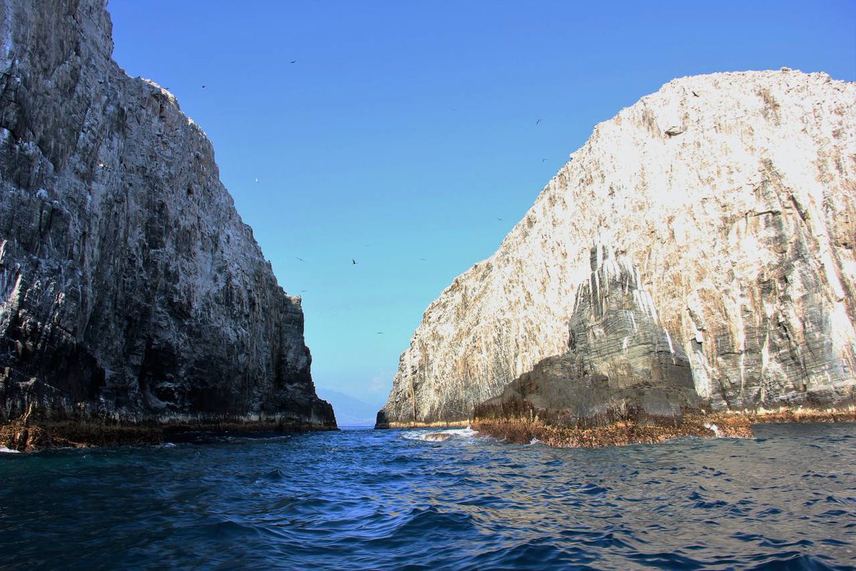 EvelynSalgadoP's tweet photo. En el #HogarDelSol tenemos una gran diversidad de bellezas naturales, por ejemplo esta formación rocosa en la Costa Grande, la mayoría las han visto desde la playa. ¿Saben dónde es y cómo se les conoce popularmente? https://t.co/0az37Nsj37