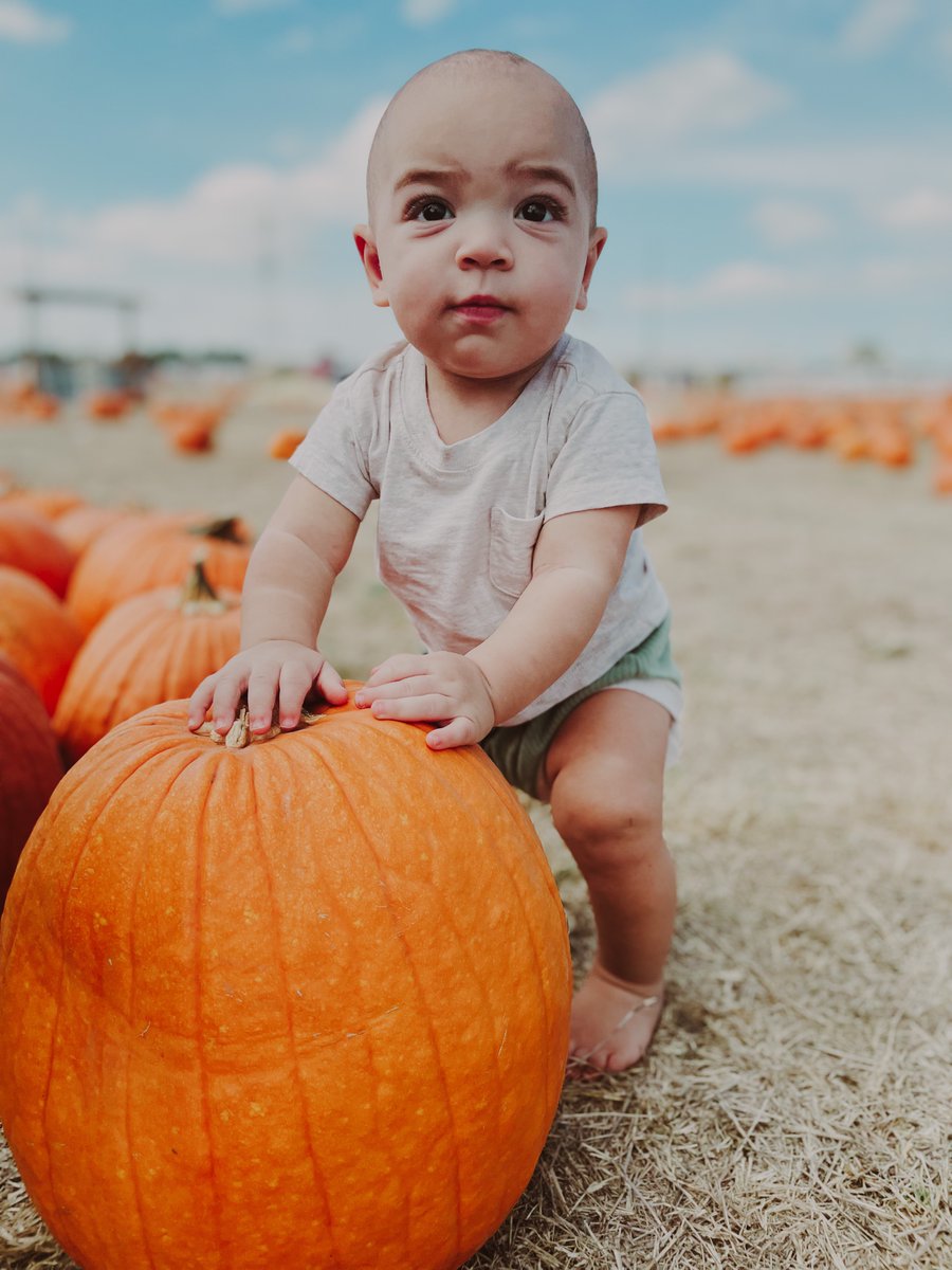 ClareCherry__'s tweet photo. How the pumpkin patch started vs how it ended @ Robinson Family Farm, Temple TX https://t.co/TYrfrwPoKq