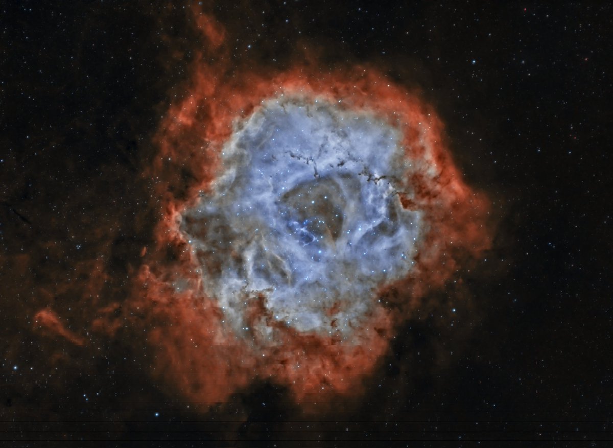 astro_addict's tweet photo. Say Hi to the Rosette Nebula, this time in 'fake' Hubble Palette. 

It's a lot of fun to reprocess some of my older nebula images. Next one is the Heart Nebula!

#Astrophotography #universe #space #astropic https://t.co/SBOCBiIRbD