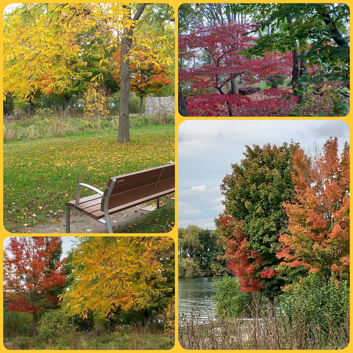 JasminaPiano's tweet photo. Autumn colors 🌿
Sunday walk ☀️ https://t.co/nJRaAA4zPw