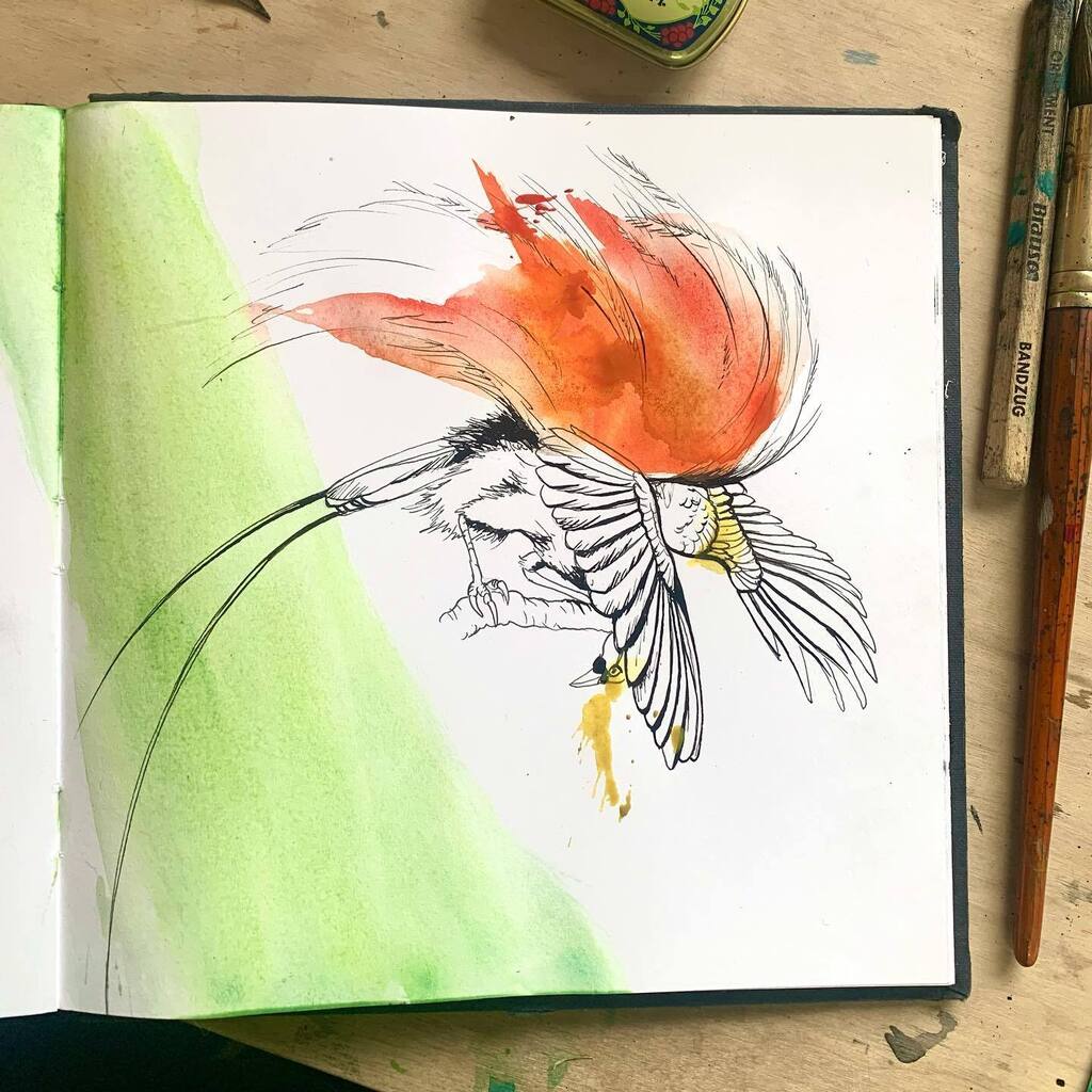 Another quick daily sketch for #thepatternsocial #thesketchbookchallenge to draw an animal or character. Count Raggi’s Bird of Paradise taken from Willian T. Cooper watercolour. instagr.am/p/CjyOQOYMriK/