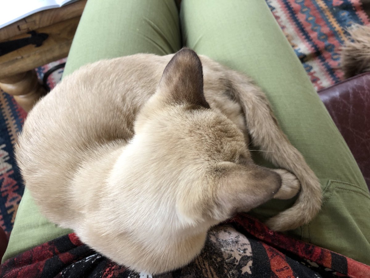 Julia Horsfield tweet media