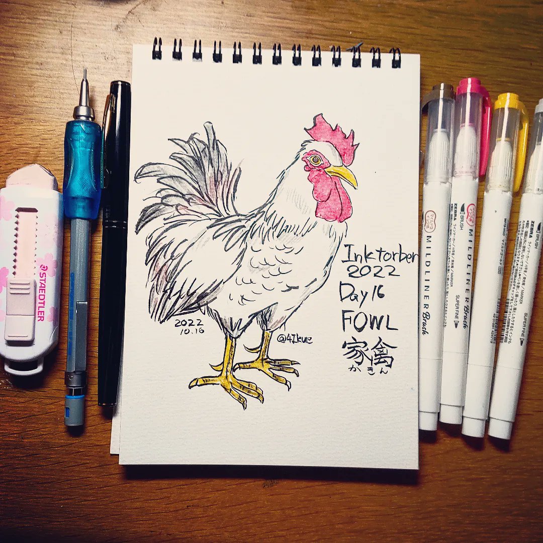 4Ikue's tweet photo. Inktorber2022  DAY16:FOWL(家禽)⁡
⁡ まあ、家禽で検索すると鶏がたくさん出てくるので、鶏を描きました。⁡
⁡ #Inktorber2022 #Inktorber #DAY16  #FOWL  #kuretake_inktober2022 ⁡
⁡#万年毛筆 #mildlinerbrush  #graphgear500 https://t.co/SHvaKSxTjB