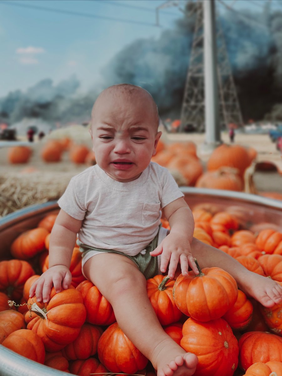 ClareCherry__'s tweet photo. Cam’s first pumpkin patch 🔥🫣🎃 https://t.co/VMaSapQVDl