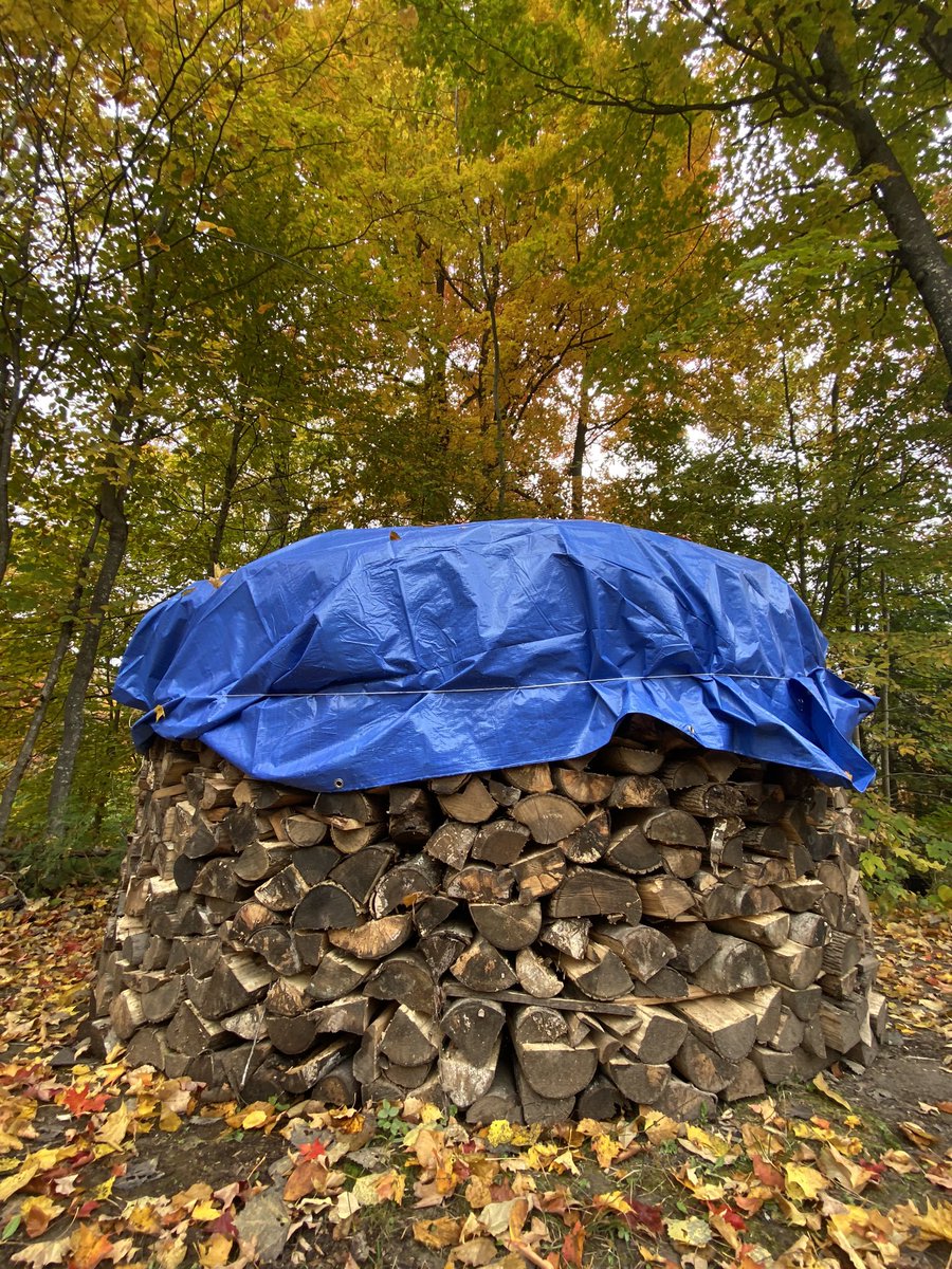 CPudel's tweet photo. My Dad (Alfred) made a Holz Hausen firewood stack! First time I ever saw this German method. Benefits include drying wood more quickly, organized and tidy, less labour, prevent rot and fungus. White Lake, Douro-Dummer, ON @cottagelife @kawarthanow #cottagelifesub #firewoodstack https://t.co/c0Z71Hyu3n