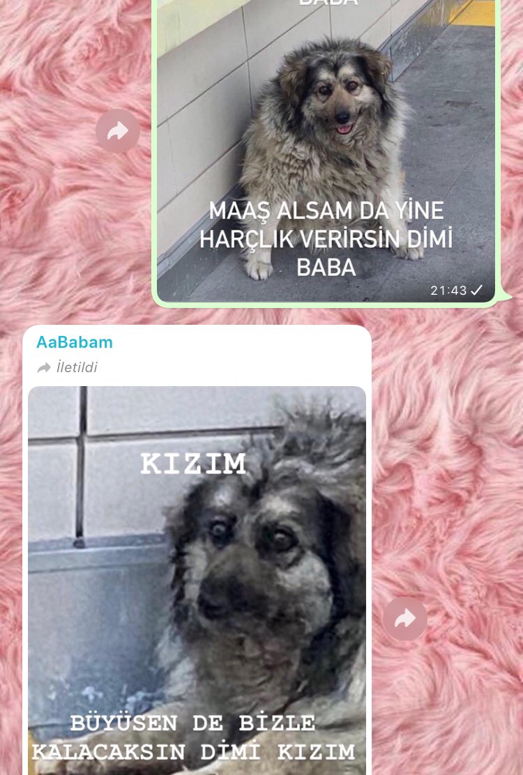 babanız gençse şu şekil afallamalar yaşayabilirsiniz