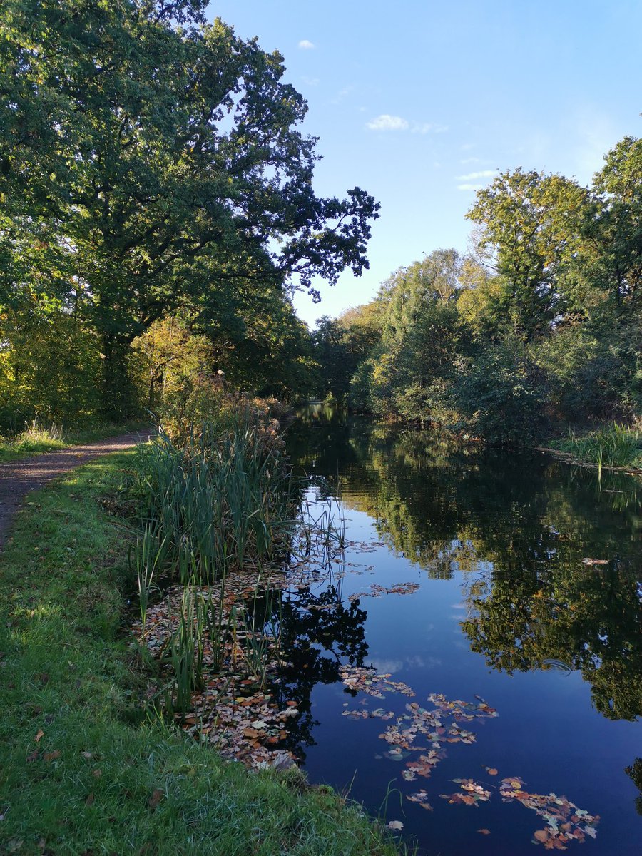 Beautiful morning for a 10km run🍁🍂