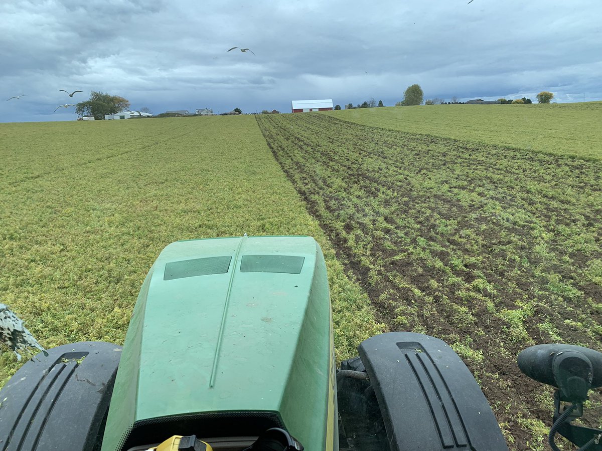 Ross Bender tweet media