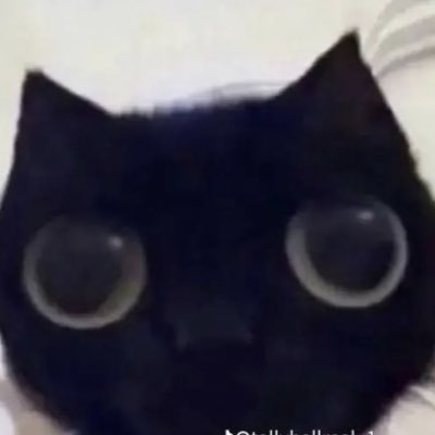 AnonymousKitti5's tweet photo. #NewProfilePic https://t.co/CAjSVAtN8i