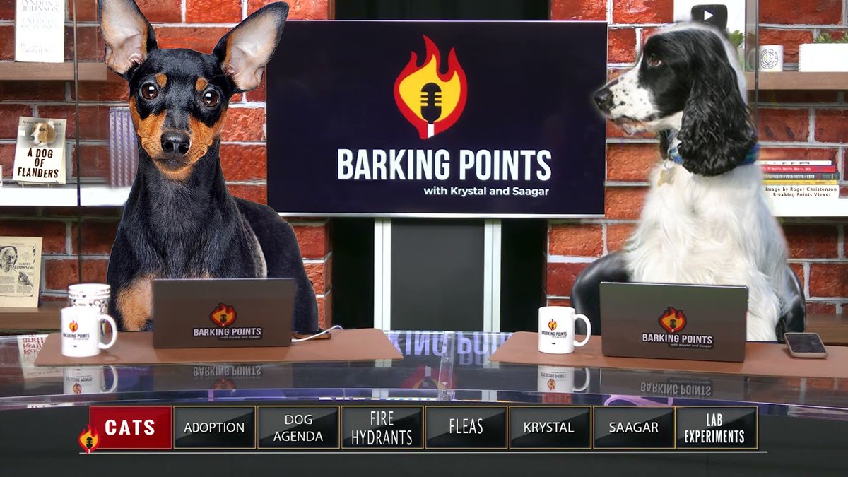 lunamation's tweet image. I made this for Krystall &amp;amp; Saagar, just a bit of friendly cuteness, no offense intended.  #BreakingPoints