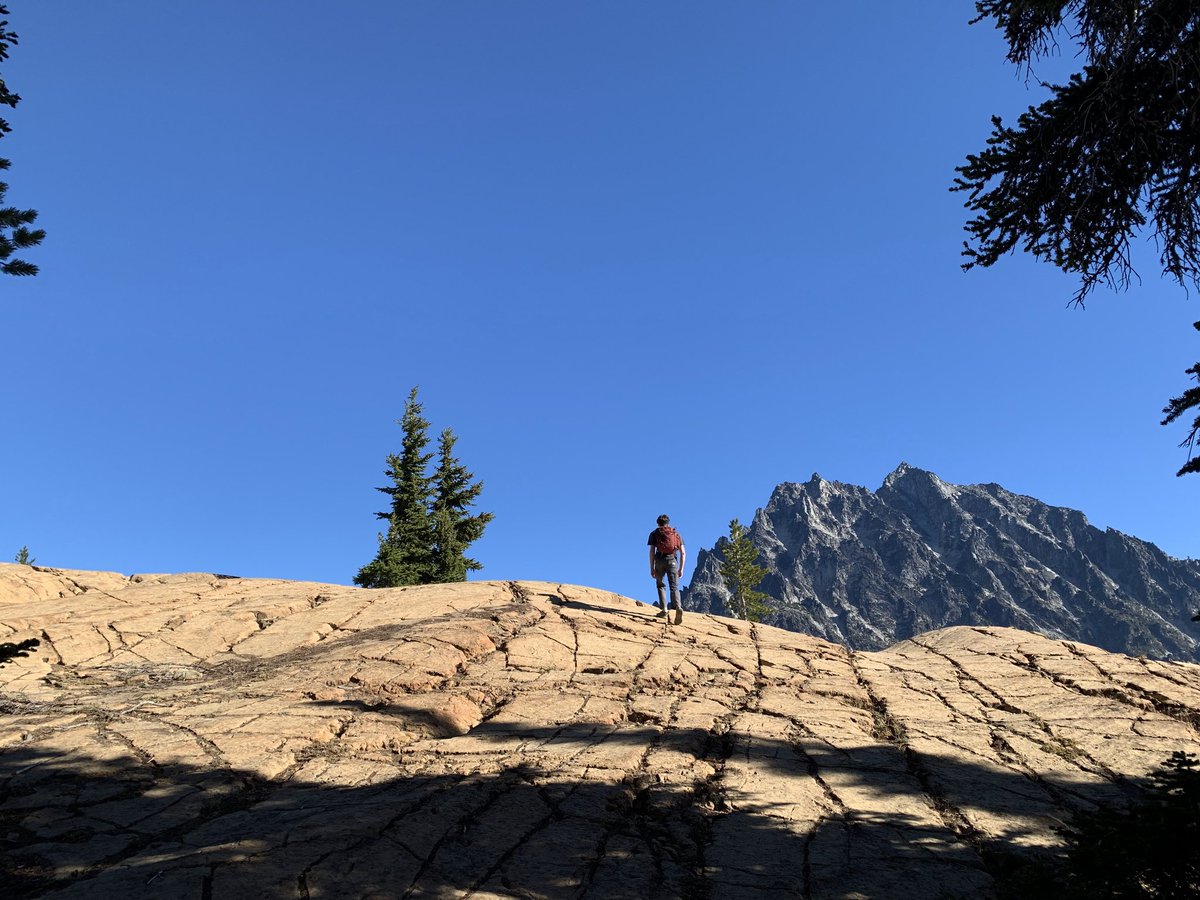 danggoodcode's tweet image. Chasing yellow trees