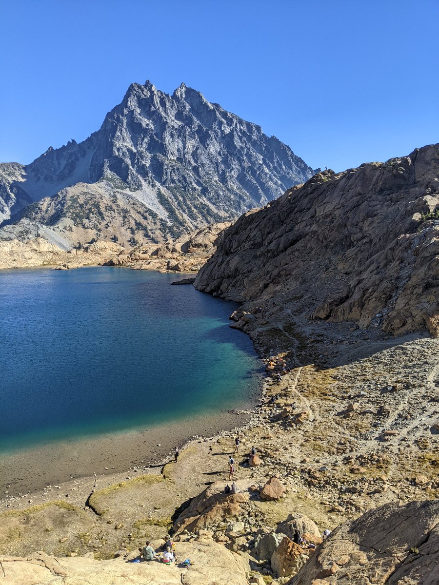 danggoodcode's tweet image. Chasing yellow trees