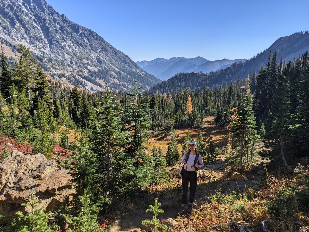 danggoodcode's tweet image. Chasing yellow trees