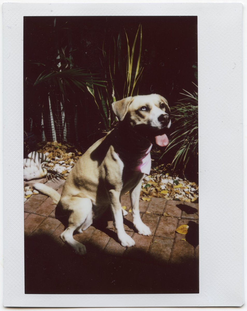 1 year since we became pals!