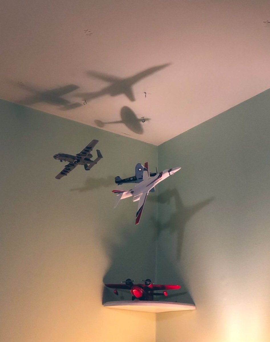 Stephanie tweet media