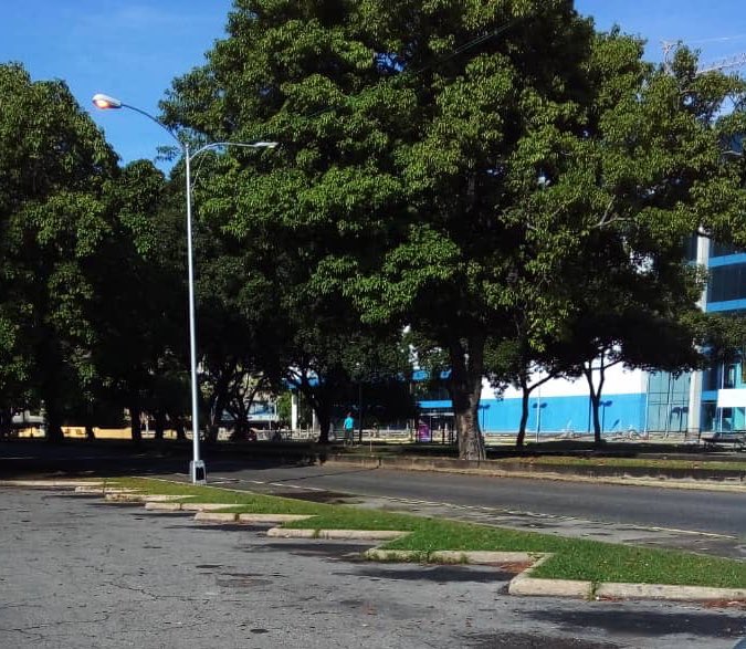 AGiraudG's tweet photo. Domingos de @sembramostodos plantamos 🌳en un área “pelada” de estacionamientos frente al Centro Andrés Bello en plena Av Las Delicias con especies apropiados para áreas urbanas #Actuamos #Plantamos #Cuidamos y #Defendemos @claudicit @PepeClavijoA @diomarcv @WernerGutierrez 🌳👇🏻 https://t.co/tIDUW2MCLN