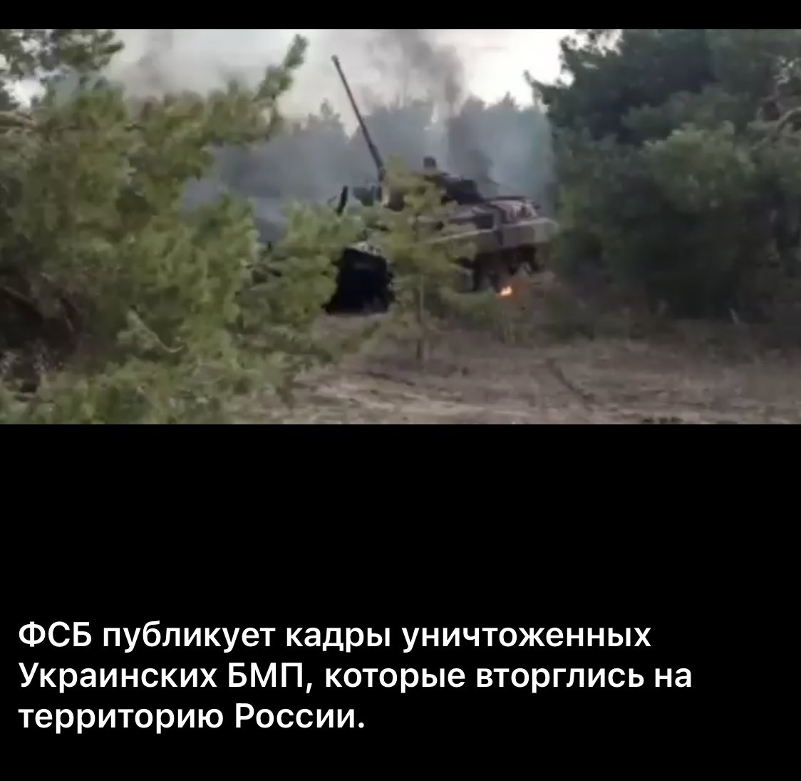 Тут залезла в свои сохраненные видео и нашла -кто же на кого первый нападал, кстати ☝🏻