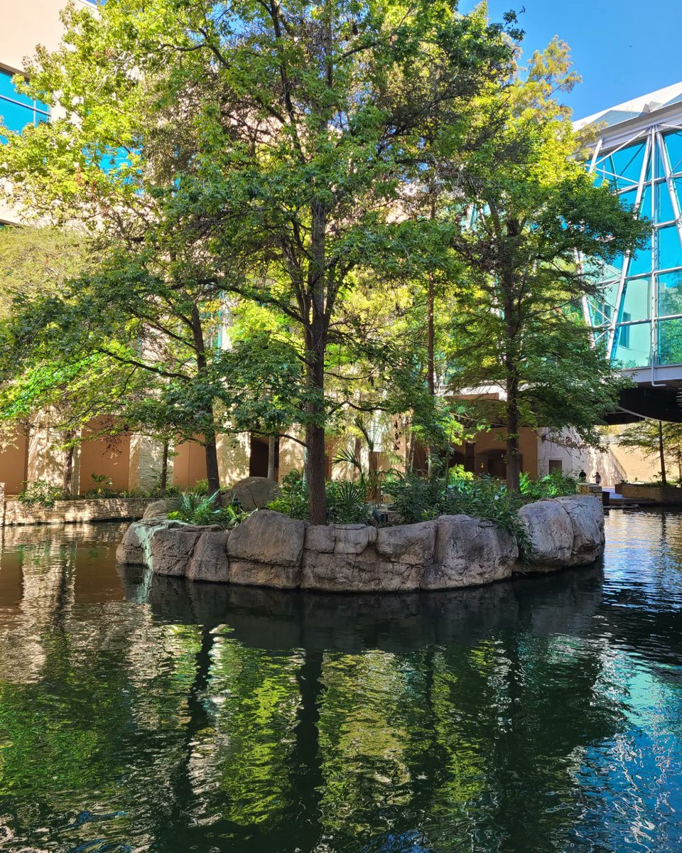 FahimUsshihab's tweet photo. Our trip to San Antonio for #BMES2022!

@FahimAlMohandis @madison_kirk612 @31bhoom @BMES_WFU @love__dreaaa @EColtoff @luis_pov4 @Eugene_Ablord @bkeberl 
&amp; @ all the other Wake and VT students whose Twitter handles I'm forgetting lol https://t.co/BXYBBVw4vV