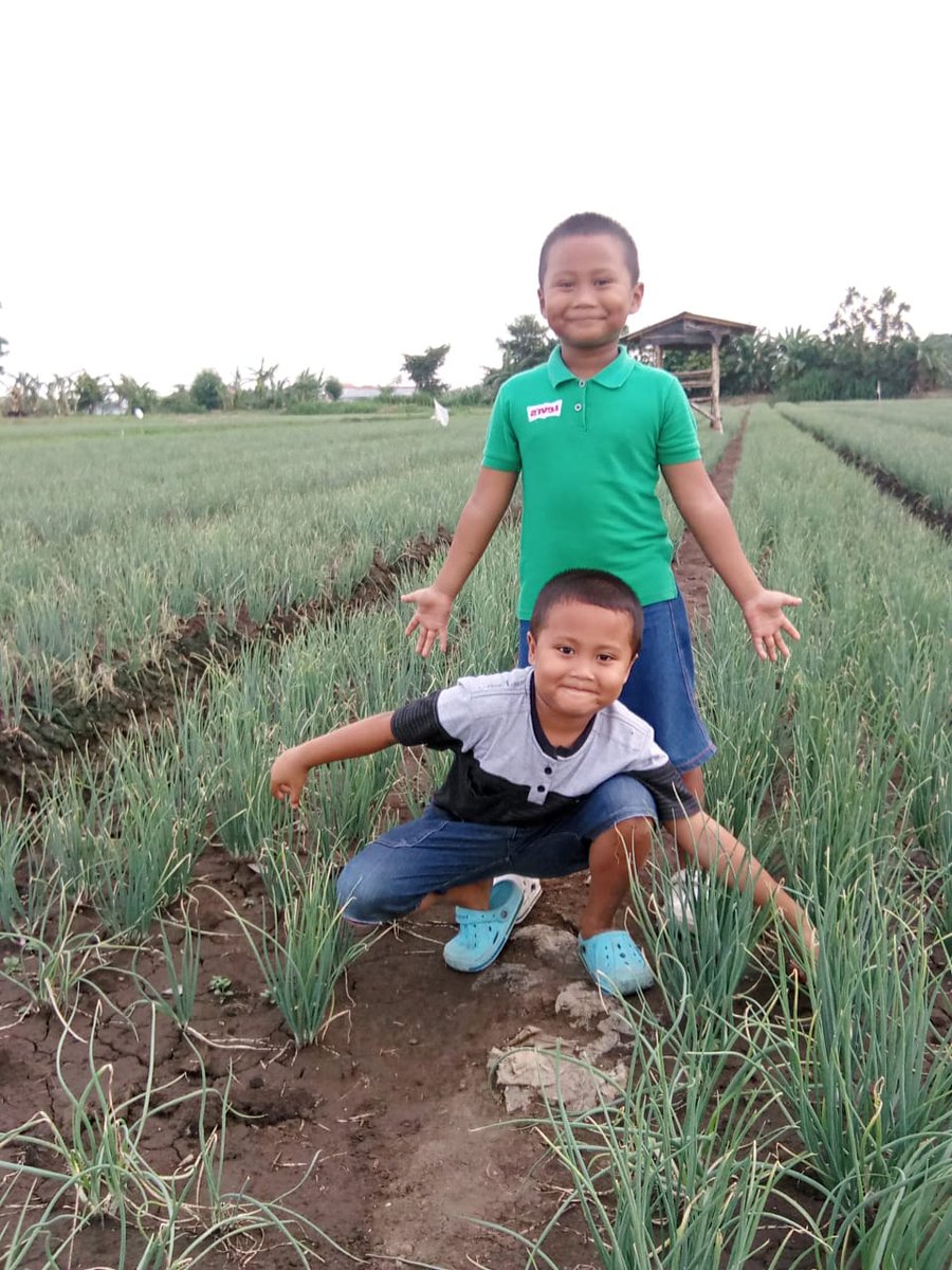 aaz_arin's tweet photo. Lingkungan bersih &amp; hamparan sawah pun masih bisa dinikmati kidz zaman now
#weloveprobolinggo
#welovecities
#kecamatanmayangan
#kelurahanmayangan https://t.co/aTtFnHLC9c