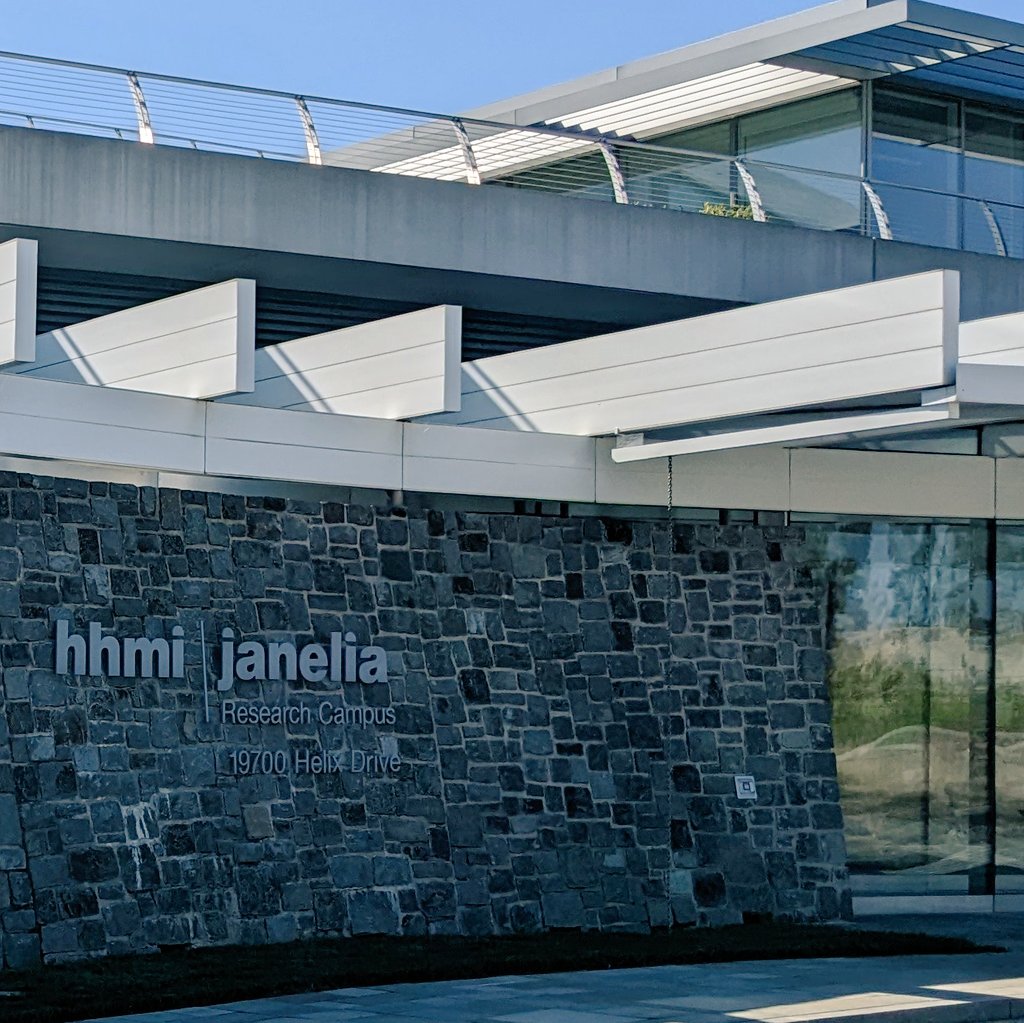 Excited to be presenting at the computation & theory seminar @HHMIJanelia tomorrow morning. Looking forward to brainstorming science and exploring collaborations w/ @janfunkey and other Janelians.