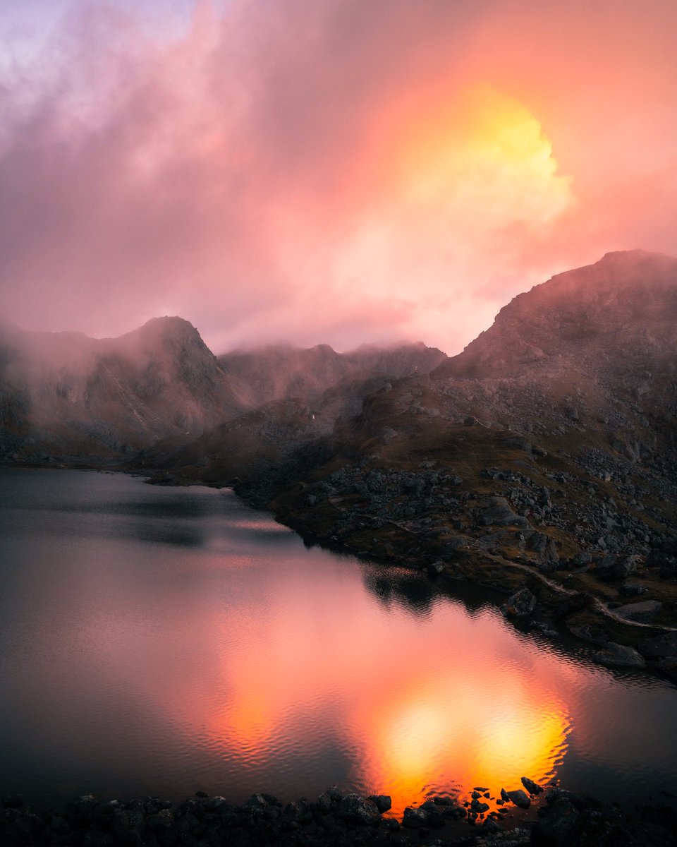 Courts Jay ✨ tweet media