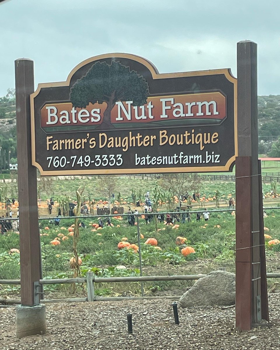 MoonMaiden77's tweet photo. Got our pumpkins! Had a great day at the pumpkin patch!๐ค๐๐งก #PumpkinPatch #OctoberActivities #BatesNutFarm #CantWaittoCarveThem https://t.co/RrAUQvqWSV