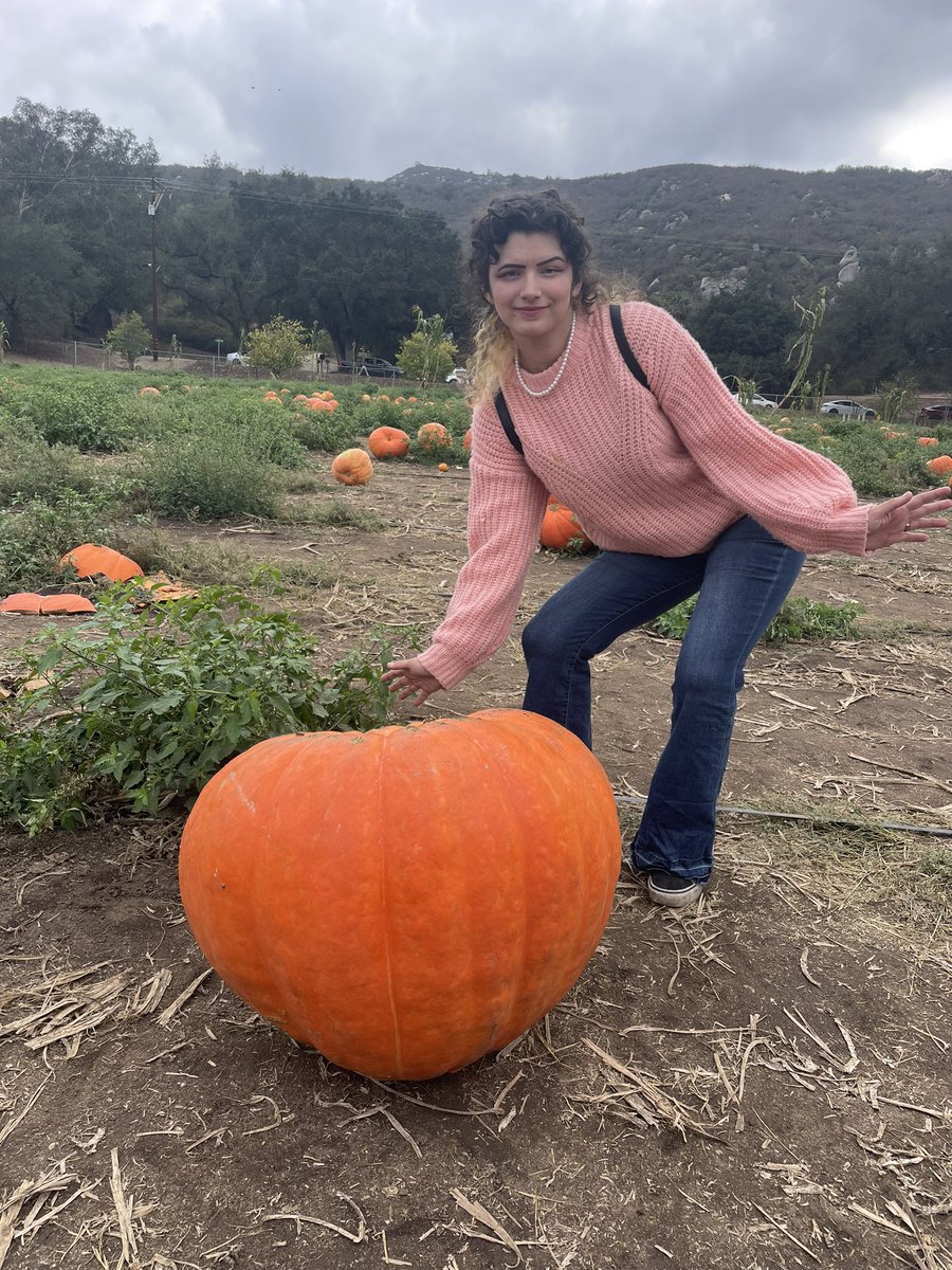 MoonMaiden77's tweet photo. Got our pumpkins! Had a great day at the pumpkin patch!๐ค๐๐งก #PumpkinPatch #OctoberActivities #BatesNutFarm #CantWaittoCarveThem https://t.co/RrAUQvqWSV