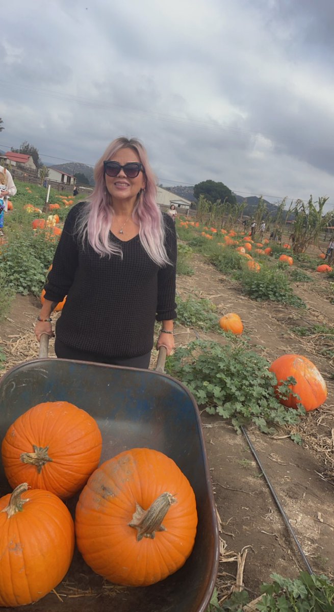 MoonMaiden77's tweet photo. Got our pumpkins! Had a great day at the pumpkin patch!๐ค๐๐งก #PumpkinPatch #OctoberActivities #BatesNutFarm #CantWaittoCarveThem https://t.co/RrAUQvqWSV
