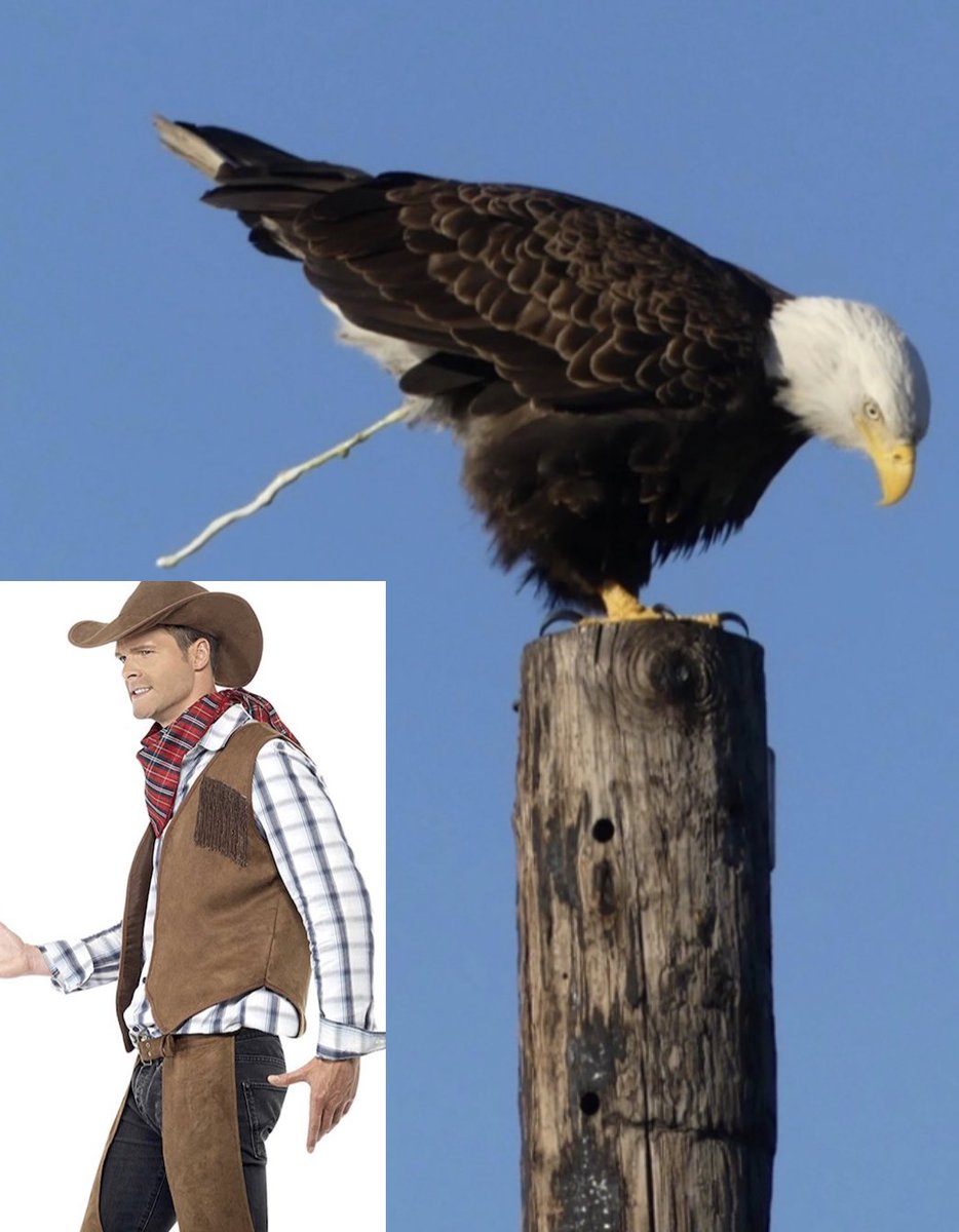 DCunter's tweet photo. Eagles vs Cowboys game summary :
#eagles #cowboya https://t.co/3gTZEawyOu