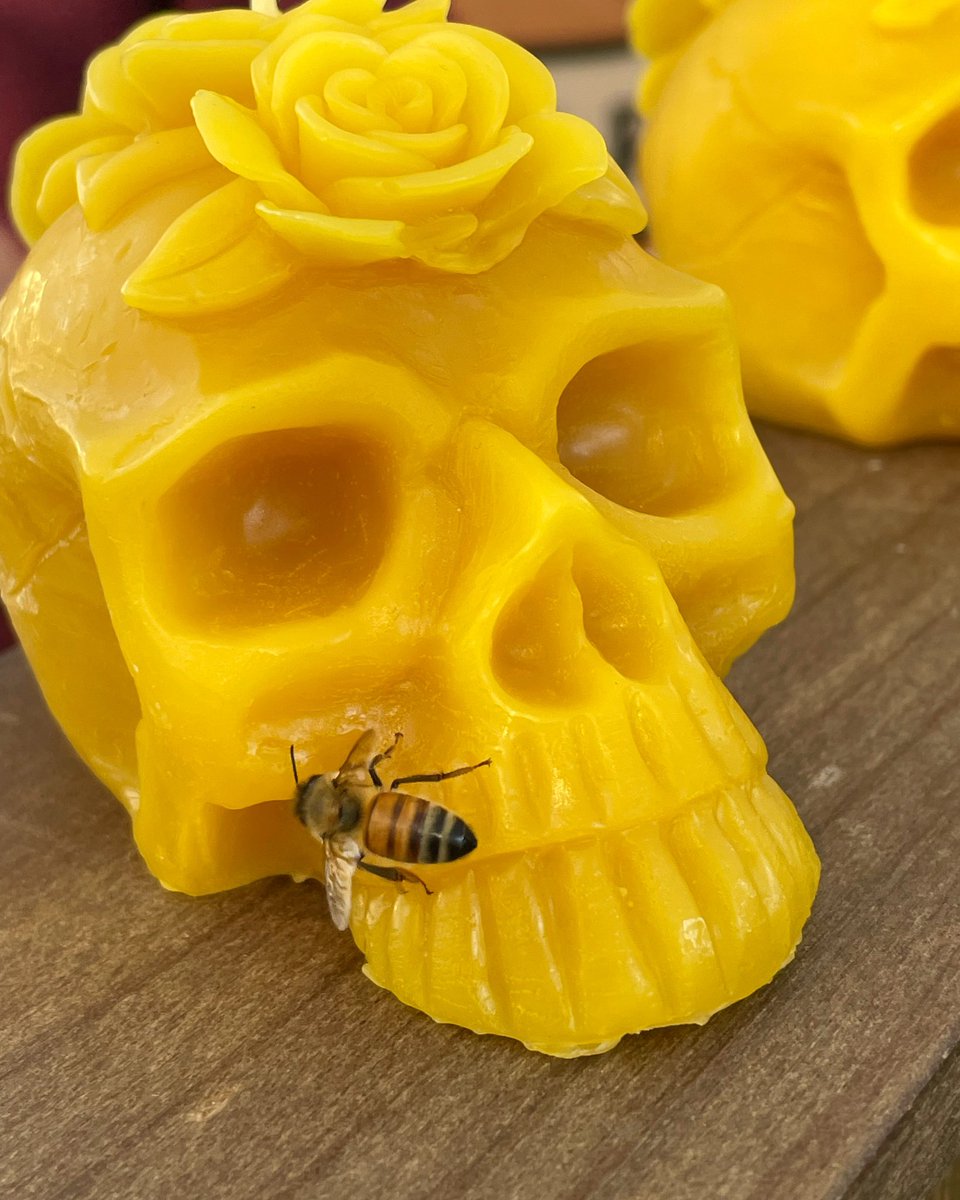 DotBeeCo's tweet photo. 🐝 The @HauntdHappnings Market is winding down for the day! 

🎃 We had a lot of amazing customers and gorgeous weather. 

🍁 If you didn’t get a chance to make it out today, we will be back next Sunday 10/23! https://t.co/zWxyKRx56N