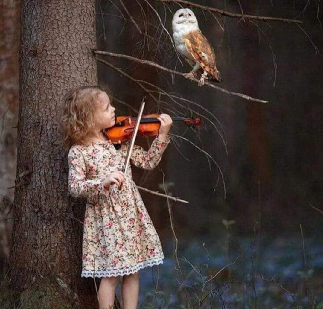 Nabilove54's tweet photo. I will continue to play the strings of life until it smiles at me or i smiles at it ,.... No matter how long it makes noise, its sweet melodies must come.....🧚🧚🧚 https://t.co/WPWnALSidD
