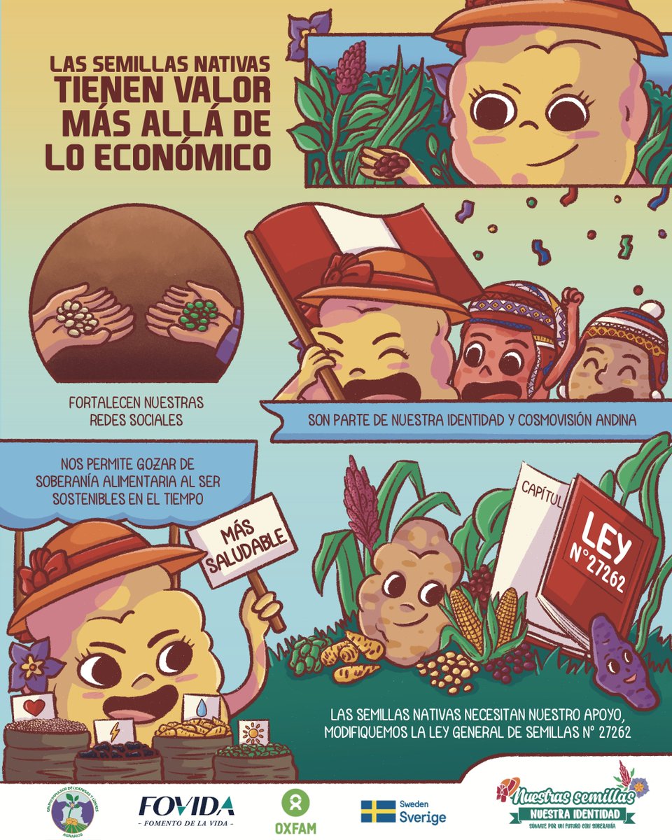FOVIDA_'s tweet photo. #16Oct | #DiaMundialdelaAlimentacion 🇵🇪🌱 El valor de las semillas nativas trasciende a los factores económicos. Las #semillas nativas y locales son parte de nuestra identidad, con su diversidad de formas y colores. 🥔💜#Modificatoria #Ley27262 #SemillasNativas #NuestrasSemillas https://t.co/yIs9IVQ9SU