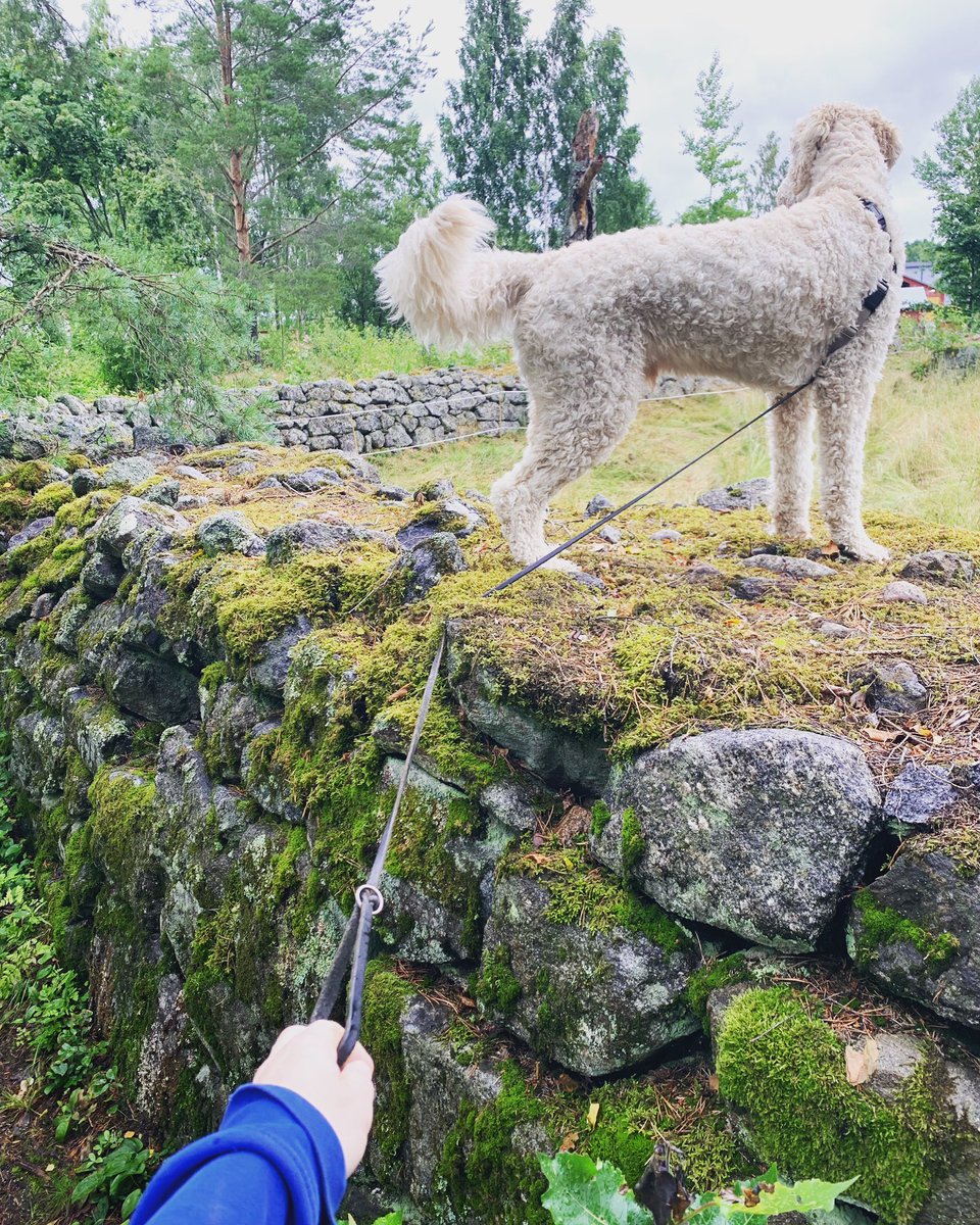 Daniel Neuman tweet media