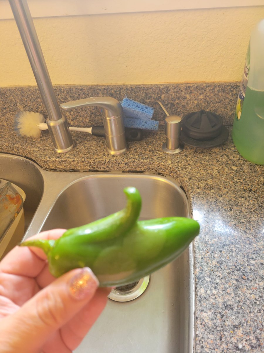 This Jalapeño is excited to see me! 🤣