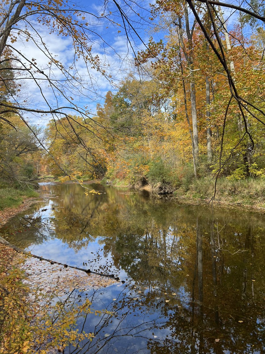 RachelleinMI's tweet photo. Hope you found some reset time outdoors this weekend! #miched #puremichigan #woodsandwater #optoutside #naturetherapy #hikingwithdogs #crunchytrails #fallingleaves #octoberfeels #fall https://t.co/uOHaicZPMg
