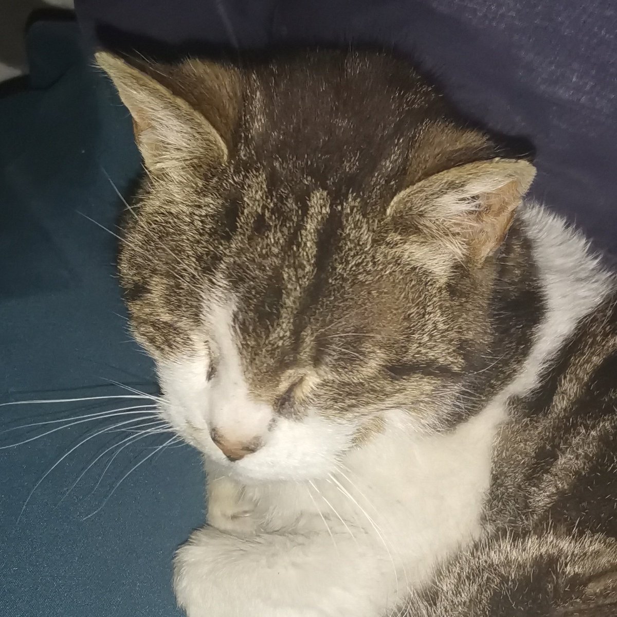 EspionArts tweet media