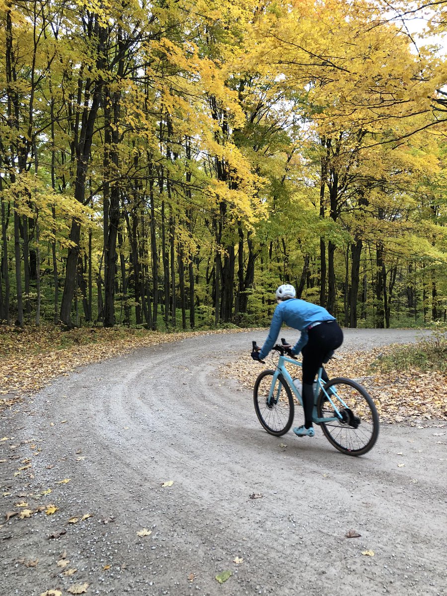 SafeStreetsTO's tweet photo. Beautiful weekend for some Gravel Biking near Collingwood, Ontario in @GreyCounty #OntarioByBike @cycleontario https://t.co/lA3WGEgaX0