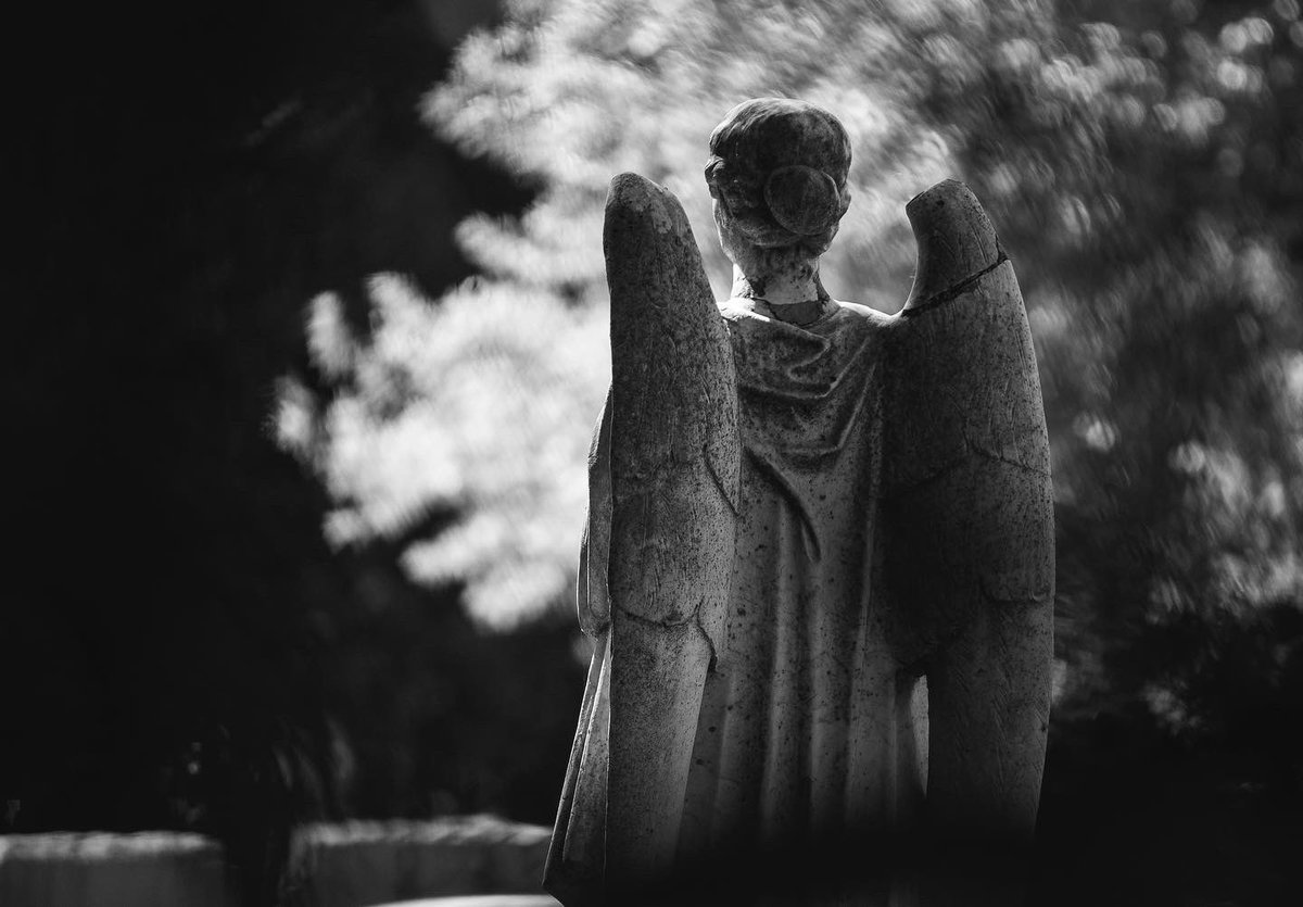 wakelivingmag's tweet photo. Check out our Spooktacular Sights and Sounds article, and learn about Wake County's haunted history👻

 📸Guardian Angel at Oakwood Cemetery:

The legend says that the eyes of the statue follow those who visit the cemetery! 

#spookymonth #wakecountync 

https://t.co/8cBTTBs3C9 https://t.co/FvlEebZNEk