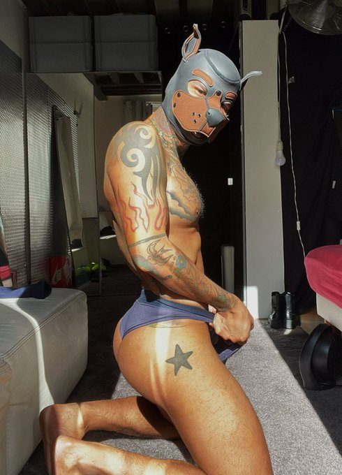 2 pic. Alpha Bravo 🐶 
#puppyplay #puppyplay https://t.co/fjK9jLYKtU