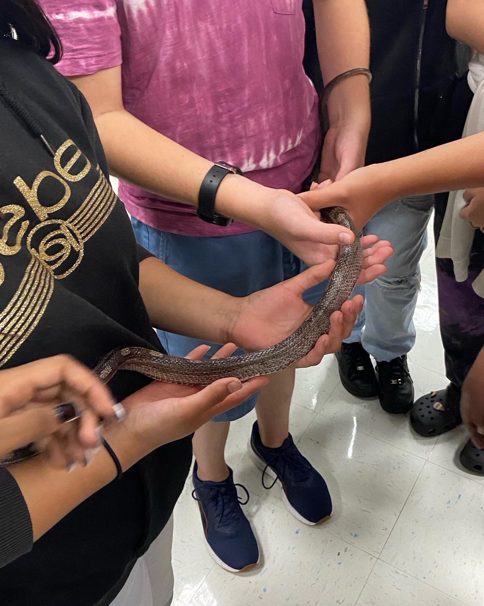 Another PRIDEful Moment: Magnet Application time!  8th grade students learning about what @tampabaytech has to offer.  The Veterinary Program was a big hit. @TBTechHS