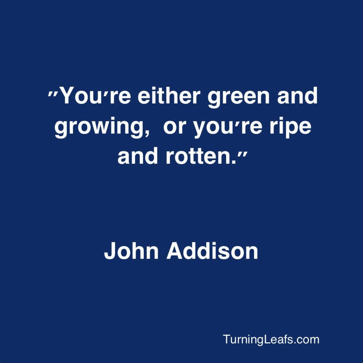ir0nw1l's tweet photo. it doesn't matter if your thumb is green, it's you that needs to be growing! #JohnAddison #aSignificantLife #WaketheLions #TLYAW #TurningLeafs https://t.co/y2WtM8b1Ar