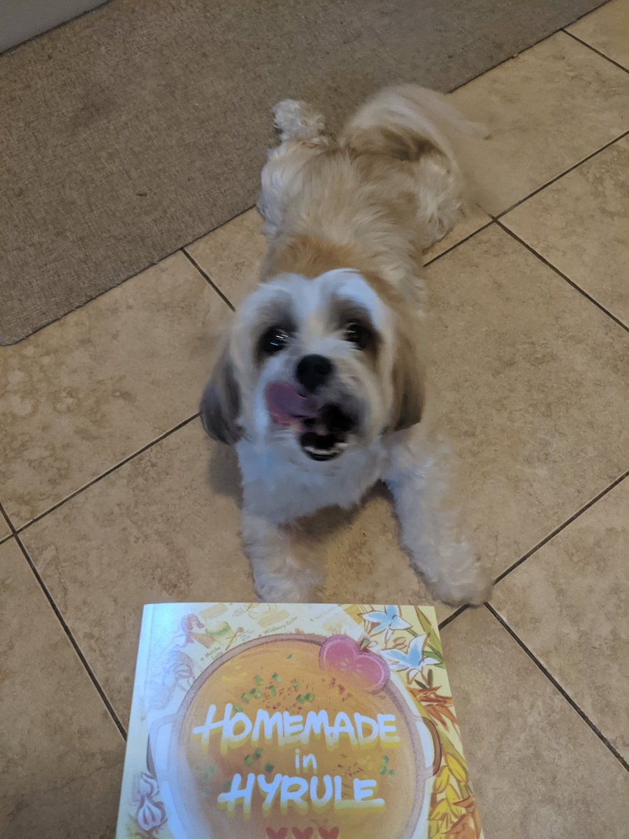 luaalikes's tweet image. So hyped to make something from this cookbook @homemadehyrule is so beautiful omggg