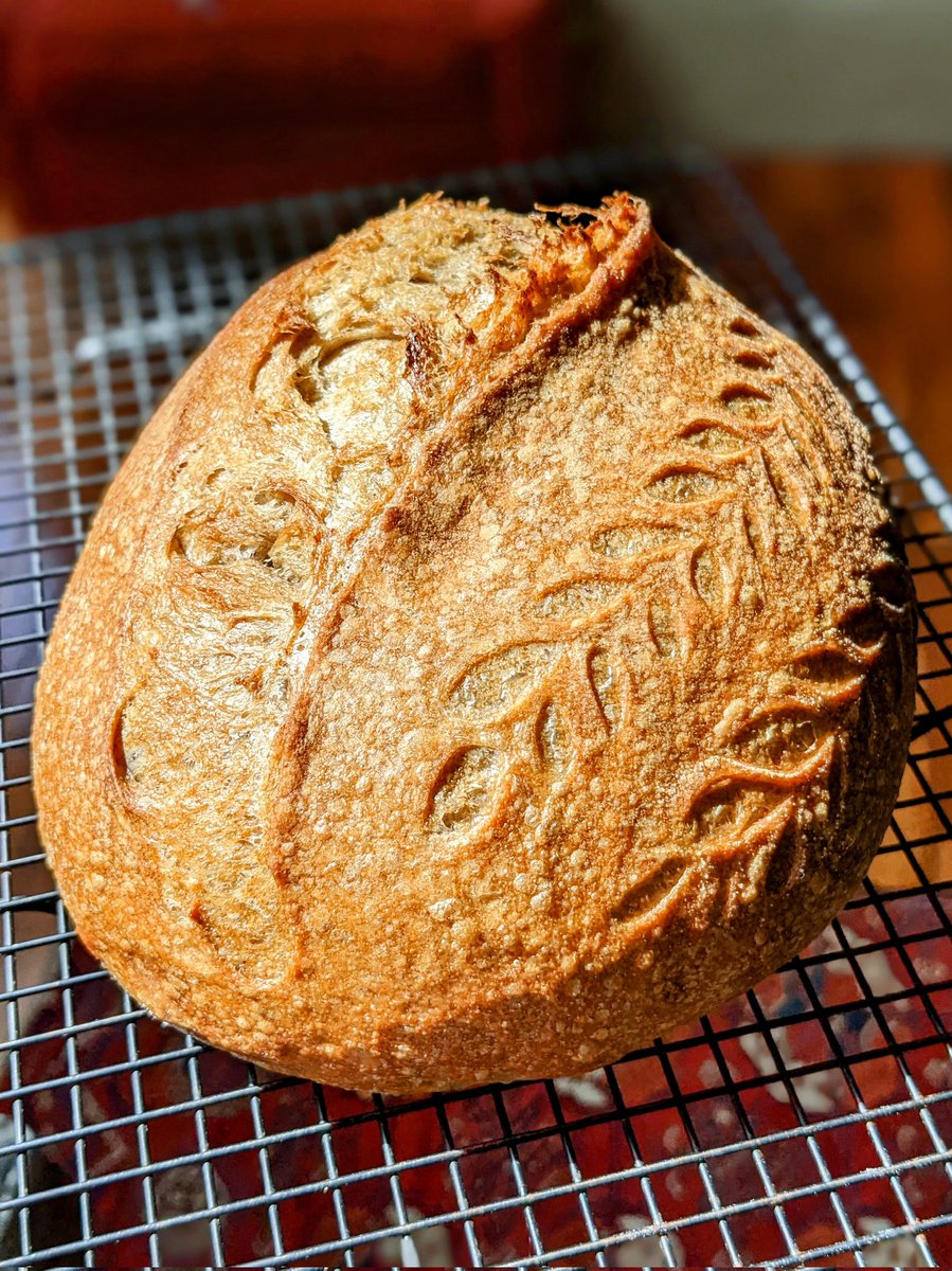 Max Hoberman on Twitter "On this WorldBreadDay I made a sourdough