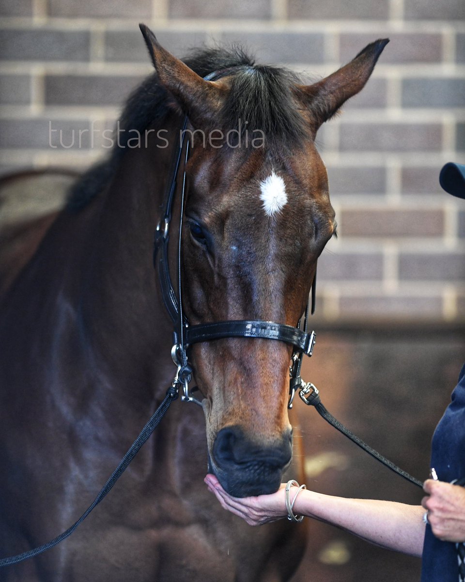 LisaGrimm9's tweet image. The wonderful #REDZEL ! Great to see him again looking so well and with the honours of leading out the #Everest field !